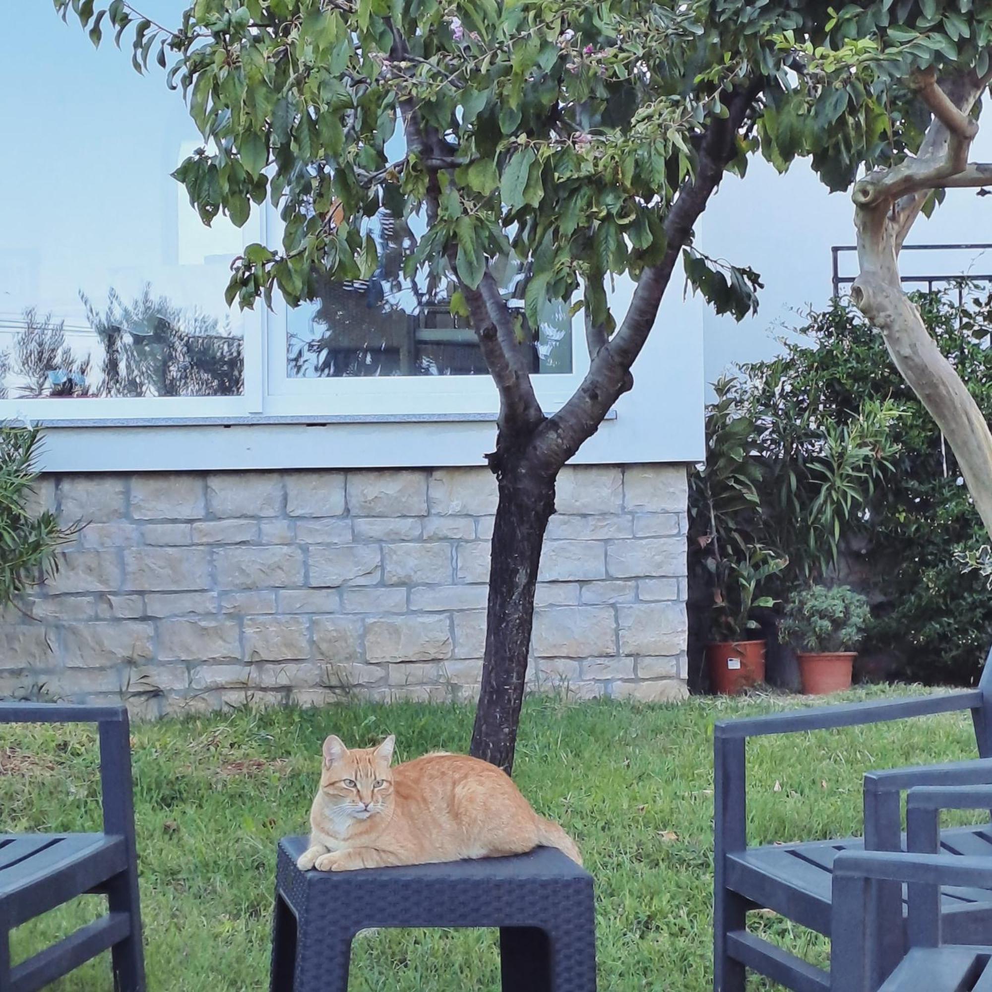 New Apartment Vivano V I D With Amazing View Zambratija  Bagian luar foto